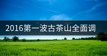 2016第一波古茶山全面調(diào)研第二站——勐海之布朗山