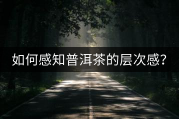 如何感知普洱茶的層次感？