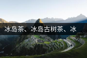 冰島茶、冰島古樹(shù)茶、冰島茶區(qū)茶、冰島茶區(qū)古樹(shù)茶
