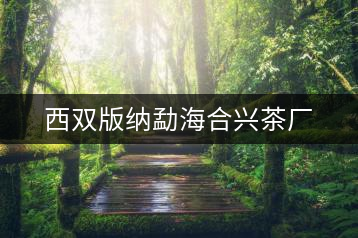 西雙版納勐海合興茶廠(chǎng)