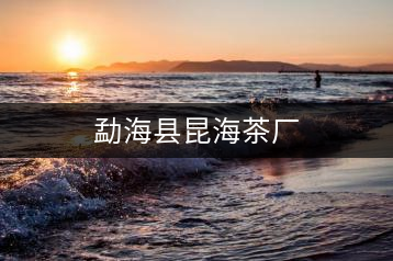 勐?？h昆海茶廠