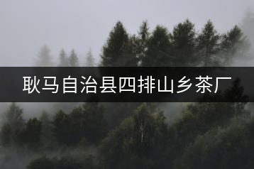 耿馬自治縣四排山鄉(xiāng)茶廠