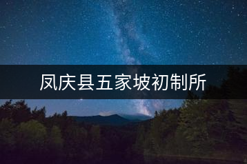 鳳慶縣五家坡初制所
