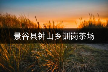 景谷縣鐘山鄉(xiāng)訓崗茶場