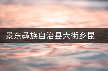 景東彝族自治縣大街鄉(xiāng)昆崗茶廠