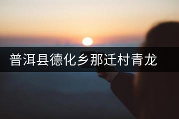 普洱縣德化鄉(xiāng)那遷村青龍山茶場(chǎng)
