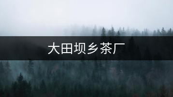 大田壩鄉(xiāng)茶廠