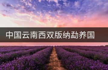 中國(guó)云南西雙版納勐養(yǎng)國(guó)艷茶廠