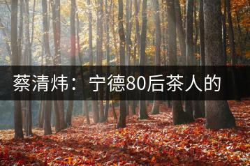 蔡清煒：寧德80后茶人的白茶夢(mèng)
