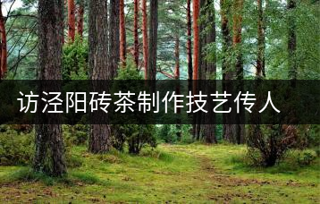 訪涇陽磚茶制作技藝傳人、陜西省非遺傳承人賈根社
