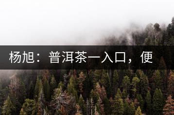 楊旭：普洱茶一入口，便知產(chǎn)地和年份