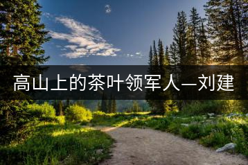 高山上的茶葉領軍人—劉建春