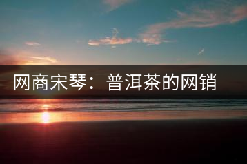 網(wǎng)商宋琴：普洱茶的網(wǎng)銷之路