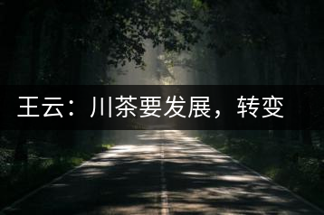 王云：川茶要發(fā)展，轉(zhuǎn)變思想是關(guān)鍵