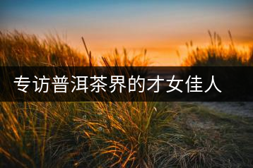 專訪普洱茶界的才女佳人阮殿蓉