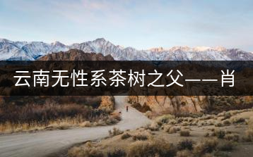 云南無性系茶樹之父——肖時(shí)英