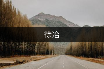 徐冶