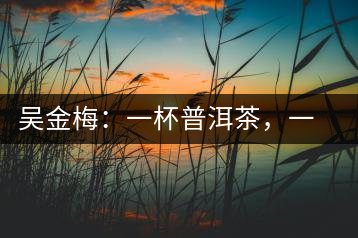 吳金梅：一杯普洱茶，一份云南情