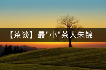 【茶談】最”小”茶人朱錦:喝茶，需要用心
