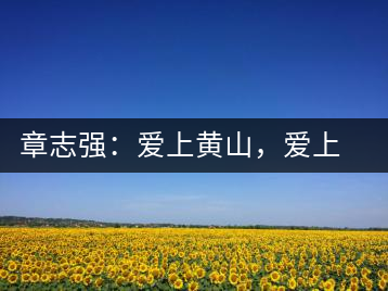 章志強(qiáng)：愛(ài)上黃山，愛(ài)上黃山的茶