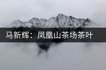 馬新輝：鳳凰山茶場茶葉產(chǎn)業(yè)致富帶頭人