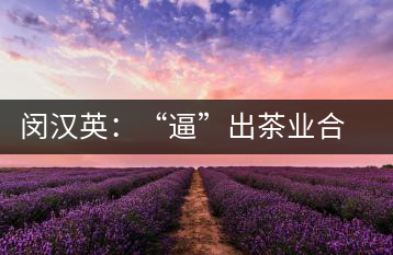 閔漢英：“逼”出茶業(yè)合作社，帶領(lǐng)村民走上致富路
