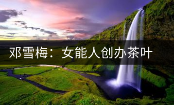 鄧雪梅：女能人創(chuàng)辦茶葉合作社帶動茶農(nóng)共同富裕