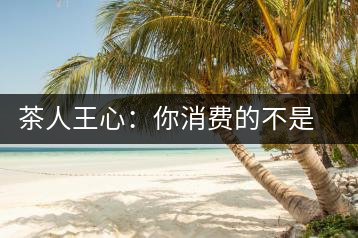 茶人王心：你消費(fèi)的不是茶，是我