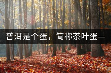 普洱是個(gè)蛋，簡(jiǎn)稱茶葉蛋——楊鎮(zhèn)瑜訪談錄