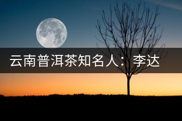 云南普洱茶知名人：李達朝