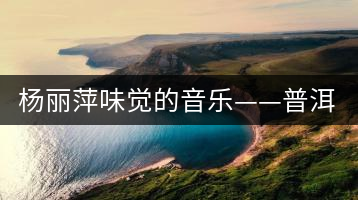 楊麗萍味覺(jué)的音樂(lè)——普洱茶——鄒家駒與楊麗萍的談話