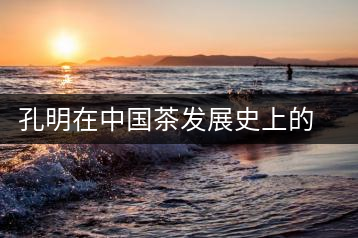 孔明在中國茶發(fā)展史上的意義