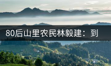 80后山里農(nóng)民林毅建：到特區(qū)“玩”電商賣茶