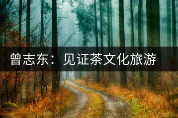 曾志東：見證茶文化旅游節(jié)對名山茶產(chǎn)業(yè)的推動和發(fā)展