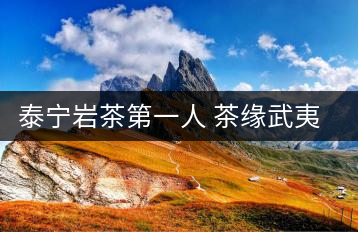 泰寧巖茶第一人 茶緣武夷圓夢泰寧