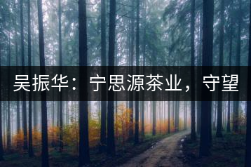 吳振華：寧思源茶業(yè)，守望家鄉(xiāng) 做好“金獎茶王”