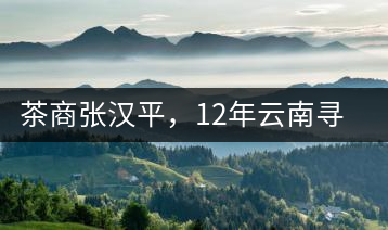 茶商張漢平，12年云南尋茶路