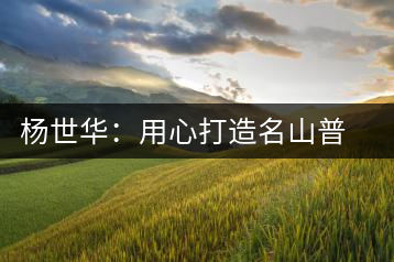 楊世華：用心打造名山普洱