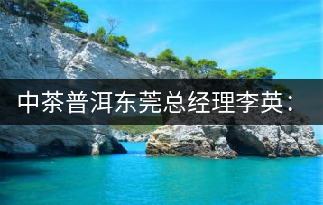 中茶普洱東莞總經(jīng)理李英：做茶應(yīng)該“心思簡靜”