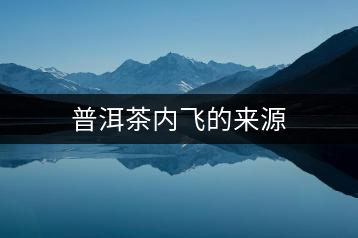 普洱茶內(nèi)飛的來源