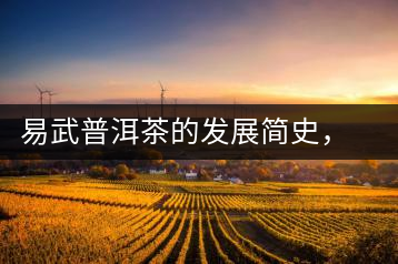 易武普洱茶的發(fā)展簡史，昔日的貢茶如今依然輝煌