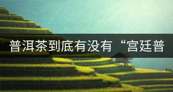 普洱茶到底有沒有“宮廷普洱”一說？它到底是什么？