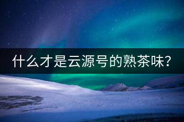 什么才是云源號(hào)的熟茶味？