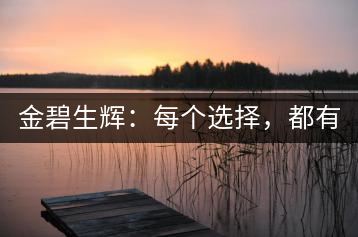 金碧生輝：每個(gè)選擇，都有選擇的理由