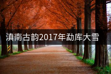 滇南古韻2017年勐庫(kù)大雪山開湯品鑒