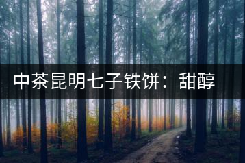 中茶昆明七子鐵餅：甜醇甘潤，陳韻綿長