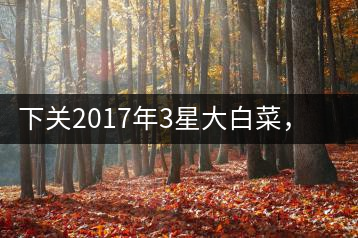 下關(guān)2017年3星大白菜，好茶從未中斷