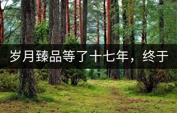 歲月臻品等了十七年，終于可以品味歲月
