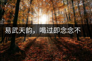 易武天韻，喝過即念念不忘的茶中皇后