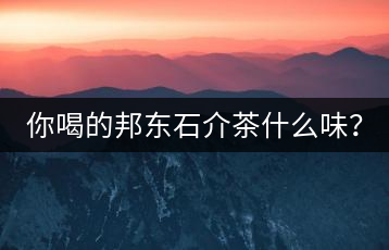你喝的邦東石介茶什么味？